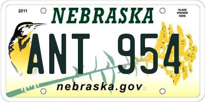 NE license plate ANT954