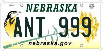 NE license plate ANT999