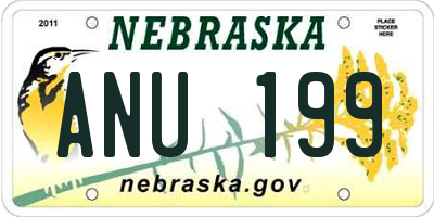 NE license plate ANU199