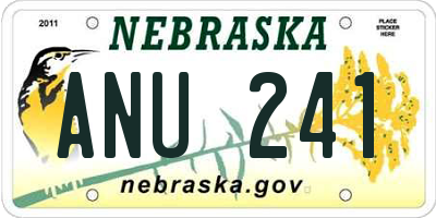 NE license plate ANU241