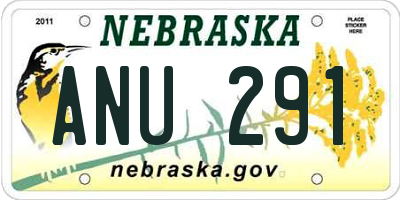 NE license plate ANU291
