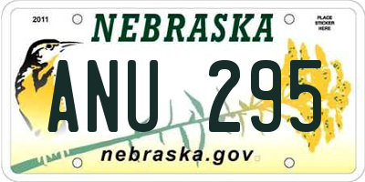 NE license plate ANU295