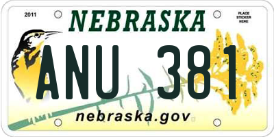 NE license plate ANU381