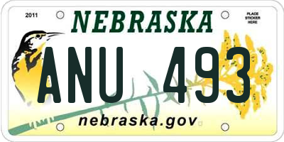 NE license plate ANU493