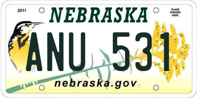 NE license plate ANU531
