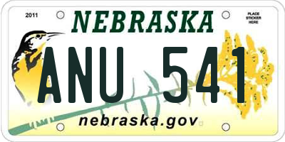 NE license plate ANU541