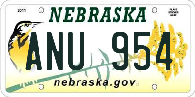 NE license plate ANU954