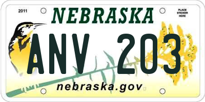 NE license plate ANV203