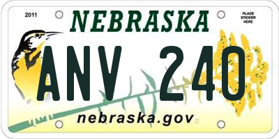 NE license plate ANV240