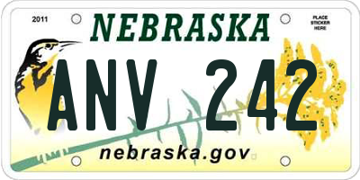 NE license plate ANV242