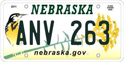 NE license plate ANV263