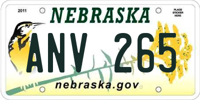 NE license plate ANV265