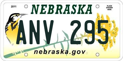 NE license plate ANV295