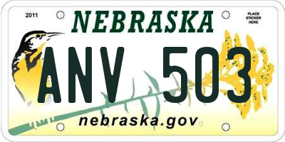 NE license plate ANV503