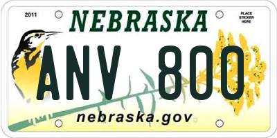 NE license plate ANV800