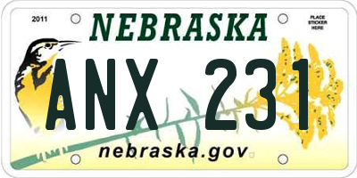 NE license plate ANX231