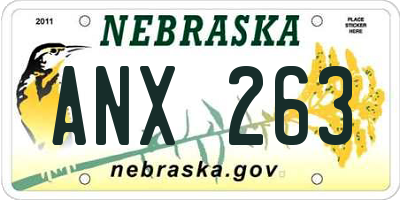 NE license plate ANX263