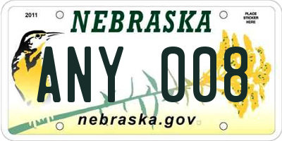 NE license plate ANY008