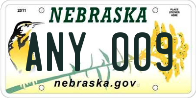 NE license plate ANY009