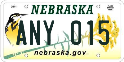 NE license plate ANY015