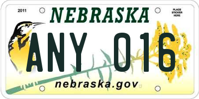 NE license plate ANY016