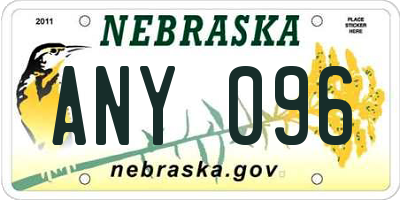 NE license plate ANY096