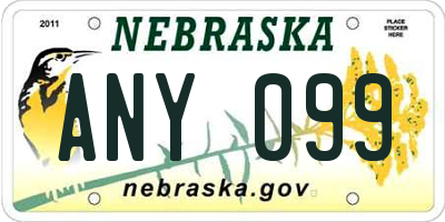 NE license plate ANY099