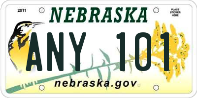 NE license plate ANY101