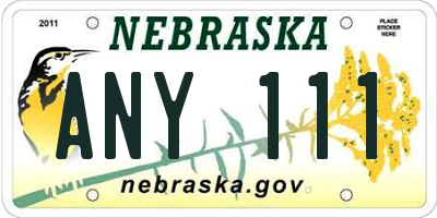 NE license plate ANY111