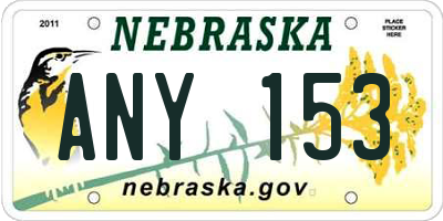 NE license plate ANY153