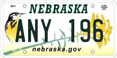 NE license plate ANY196