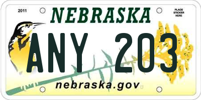 NE license plate ANY203