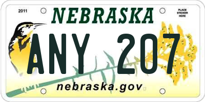 NE license plate ANY207