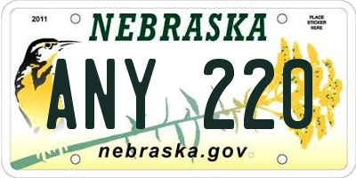 NE license plate ANY220