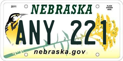 NE license plate ANY221