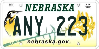 NE license plate ANY223