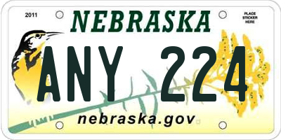 NE license plate ANY224