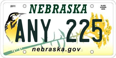 NE license plate ANY225