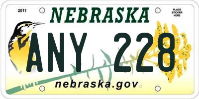 NE license plate ANY228