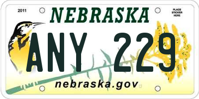 NE license plate ANY229