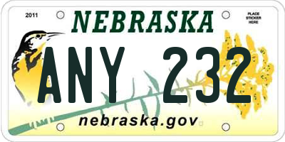 NE license plate ANY232