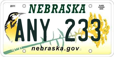 NE license plate ANY233