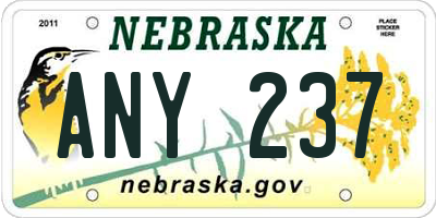 NE license plate ANY237