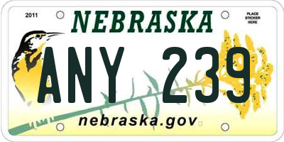 NE license plate ANY239