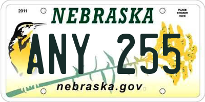 NE license plate ANY255