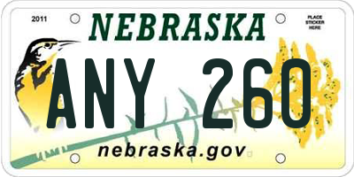 NE license plate ANY260
