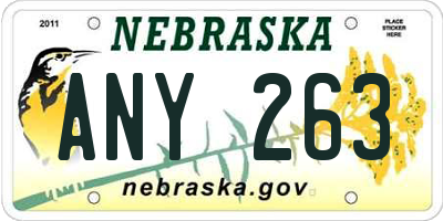 NE license plate ANY263