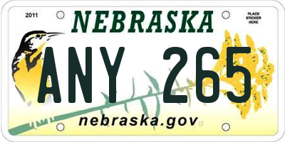 NE license plate ANY265