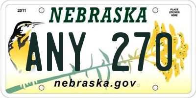 NE license plate ANY270
