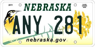 NE license plate ANY281